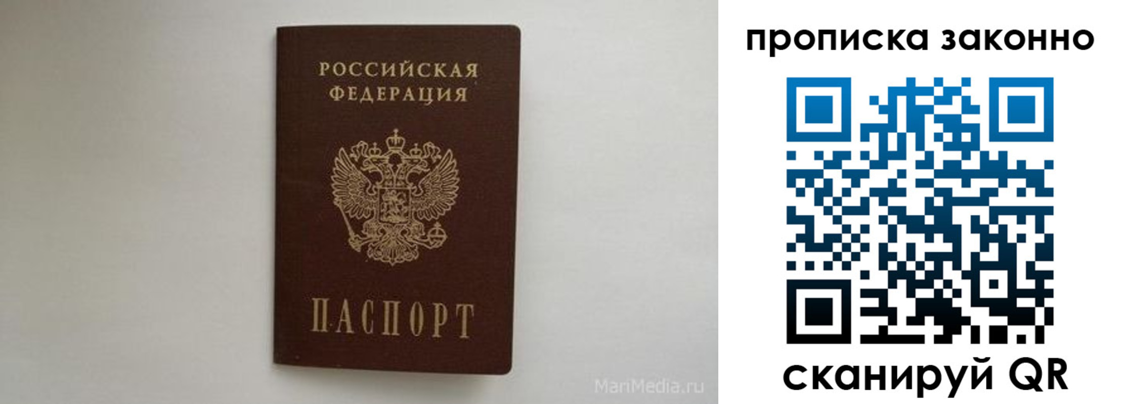 прописка поиск в Смоленске