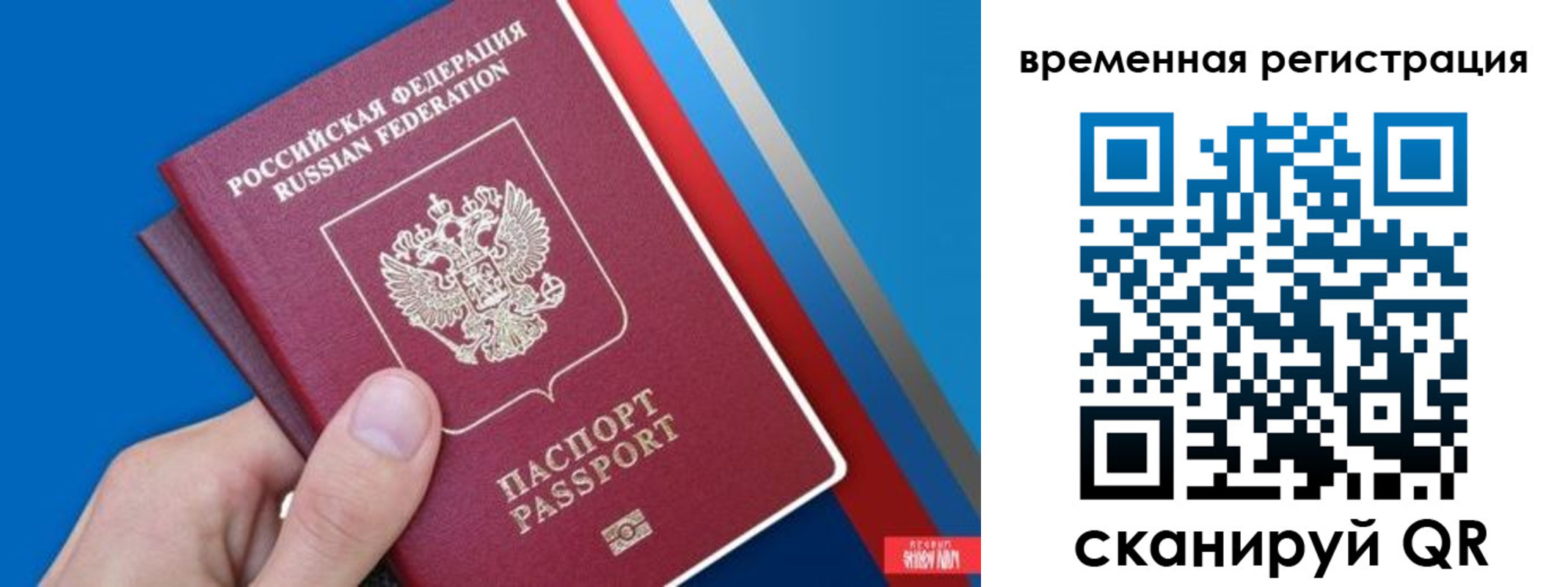 прописка для школы в Смоленске